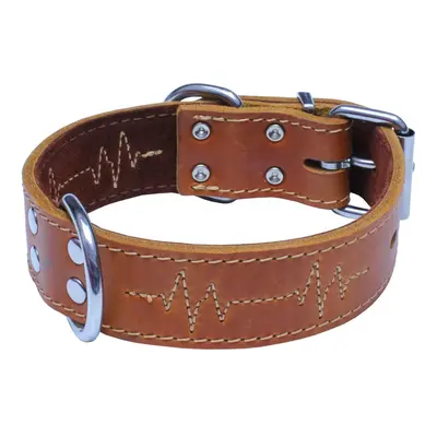 BAFPET Kožený obojek EKG - Přírodní - Přírodní - 40mm x 70cm /52-62/ 07164E