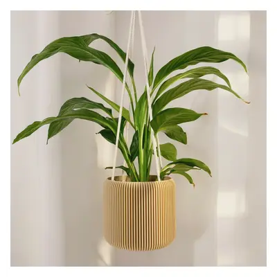 Plantbee Závěsný Květináč Umbert 12cm starorůžová