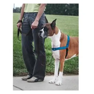 PetSafe postroj, EasyWalk Deluxe, modrý, velikost L