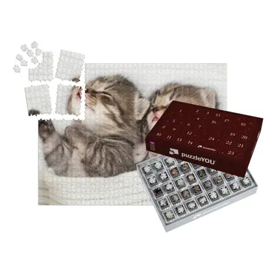 Adventní kalendář „Dvě spící koťata“