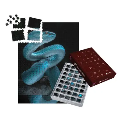 Adventní kalendář „Jedovatý zmijovitý had“