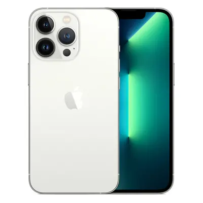 Apple iPhone 13 Pro 256GB stříbrný