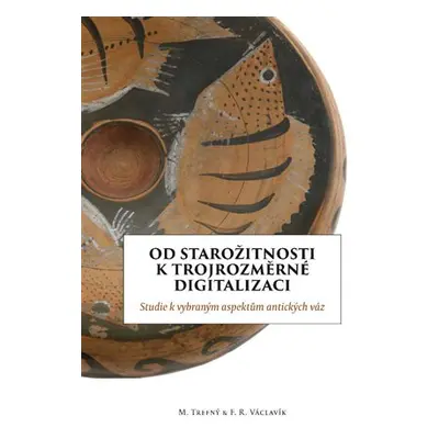 Od starožitnosti k trojrozměrní digitalizaci