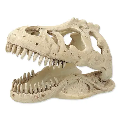 Repti Planet Dekorace T-REX lebka 13,3x8,5x9cm