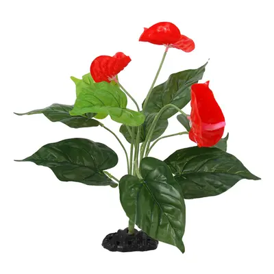 Rostlina Repti Planet kvetoucí Anthurium 40cm