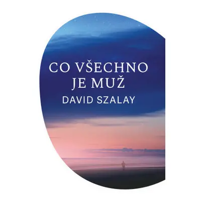 Co všechno je muž - David Szalay - e-kniha