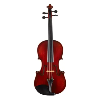 Eastman Amsterdam Atelier 1 Series 4/4 Violin