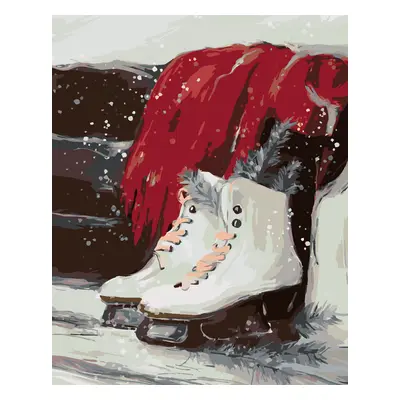 Malování podle čísel - LEDNÍ BRUSLE Rozměr: 80x100 cm, Rámování: vypnuté plátno na rám