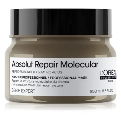 L’Oréal Professionnel Serie Expert Absolut Repair Molecular hloubkově posilující maska na vlasy