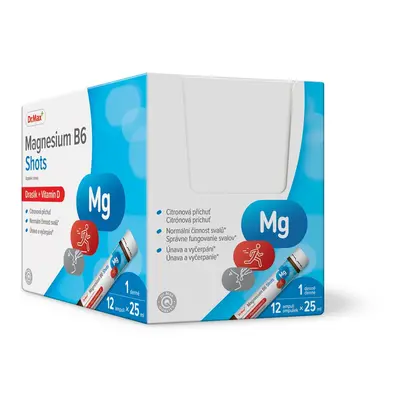 Dr. Max Magnesium B6 Shots 12x25 ml