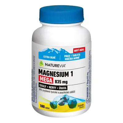 NatureVia Magnesium Mega mg tablet