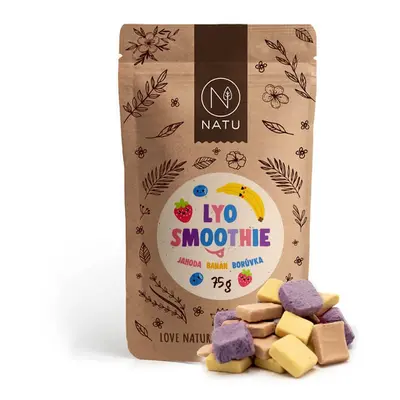 NATU Lyo Smoothie mix jahoda banán borůvka g