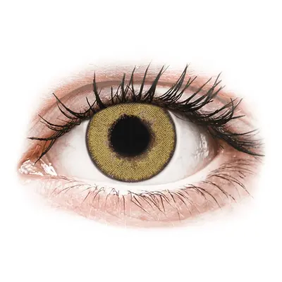 TopVue Daily Color - Pure Hazel - dioptrické jednodenní (2 čočky) 1984082_95772985
