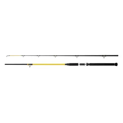 Wft prut never crack catfish boat 3,2 m 250-1000 g