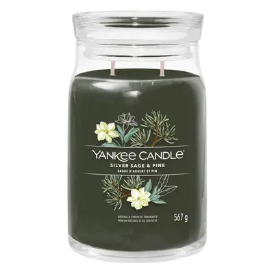 YANKEE CANDLE Signature Vonná svíčka velká knoty Silver Sage & Pine g