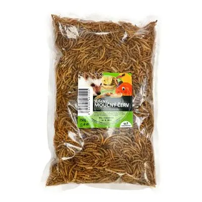 UGF sušený moučný červ 250g