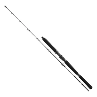 Daiwa Prut BG Deep Sea 1,75m 100-300g 1+1-díl