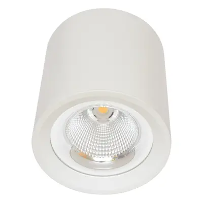 Ecolite Svítidlo přisazené, COB, 30W, 4100K, bílé MZ-DL-30W/BI