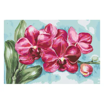 MALUJEŠ Malování podle čísel - ANNA´S ART - KVETOUCÍ ORCHIDEJ Rozměr: 60x80 cm, Rámování: vypnut