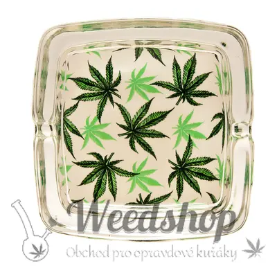 WeedShop Skleněný hranatý popelník - Child Leaves Varianty: Child Leaves 1