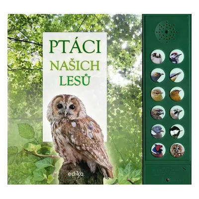 Ptáci našich lesů