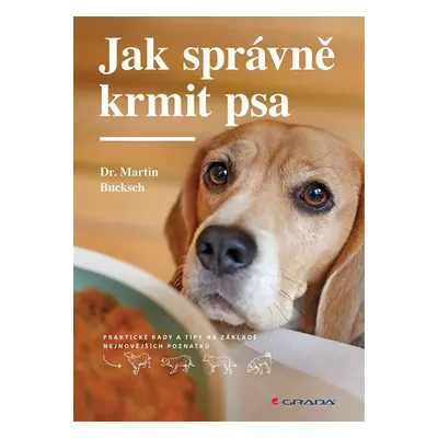 Jak správně krmit psa