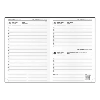 Denní diář 2025 David ForMen A5 Grey