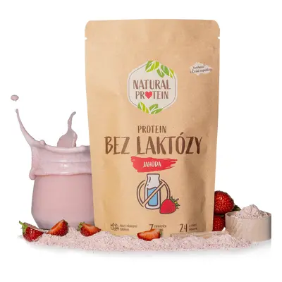 NaturalProtein Bezlaktózový protein - Jahoda 1 kus