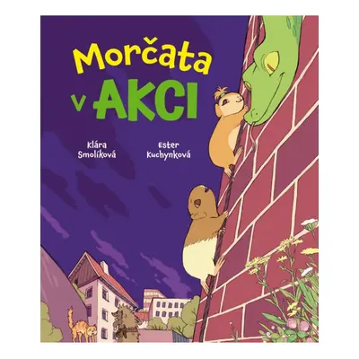 Morčata v akci Pavlovský J. - SEQOY