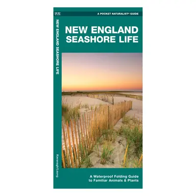 "New England Seashore Life" - "A Waterproof Folding Guide to Familiar Animals & Plants" ("Kavana