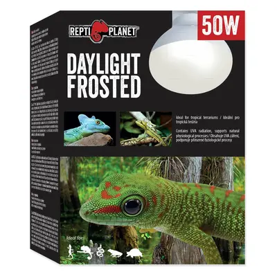 Žárovka Repti Planet Daylight Frosted 50W