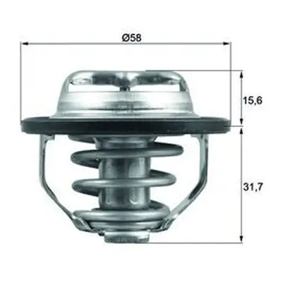 Termostat, chladivo MAHLE TX 122 82