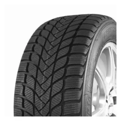 205/55R16 91H, Master Steel, WINTER PLUS 1 IS-W