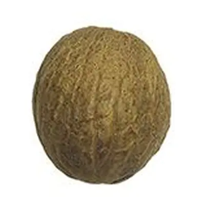 Muškátový ořech celý 2ks