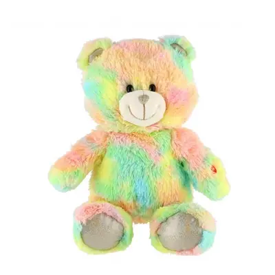 Dětský plyšový medvídek TEDDIES duhový 40cm