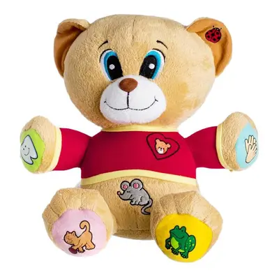 Dětský plyšový medvídek TEDDIES Tedík 30cm česky mluvící