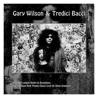 LP/CD Gary Wilson: Another Lonely Night In Brooklyn