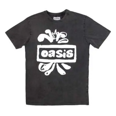 Oasis Unisex Stone Wash T-shirt: Logo Splat (x-large) XL