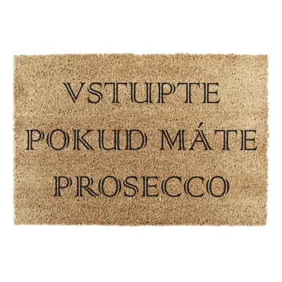 Rohožka z kokosového vlákna 40x60 cm Prosecco – Artsy Doormats