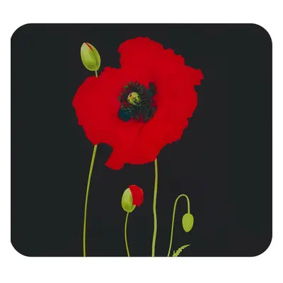 Kryt na zeď u sporáku z tvrzeného skla 50x56 cm Poppy – Maximex