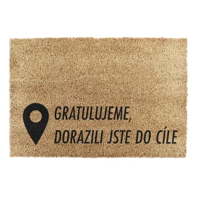 Rohožka z kokosového vlákna 40x60 cm Pin – Artsy Doormats