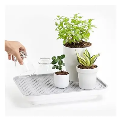 QUALY Zavlažovací/odkapávací podnos Oasis Tray