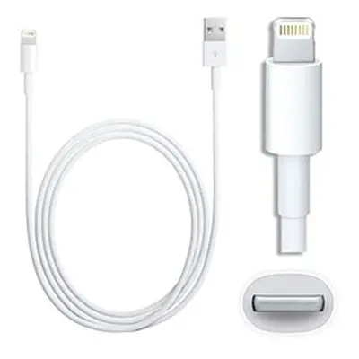 Apple Lightning to USB Cable 1m