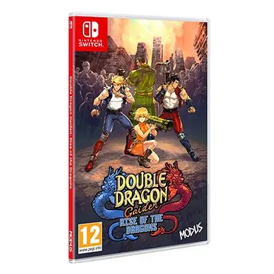 Double Dragon Gaiden: Rise of the Dragons - Nintendo Switch