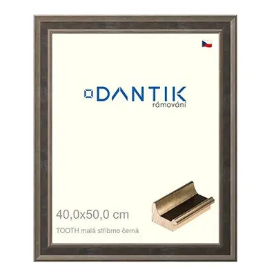 DANTIK rámeček 40 × 50, TOOTH malý stříbrno černý plexi čiré