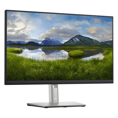 Dell Profesionální  monitor - LCD 24" IPS LED DELL P2422H stav "B" - Repase