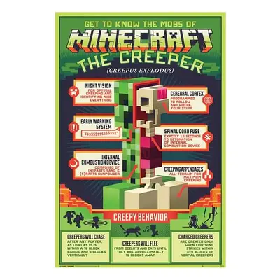 Plakát Minecraft - Anatomie Creepera