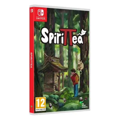 Hra na konzoli Spirittea - Nintendo Switch