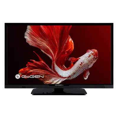 Televize 24" Gogen TVH 24P352T