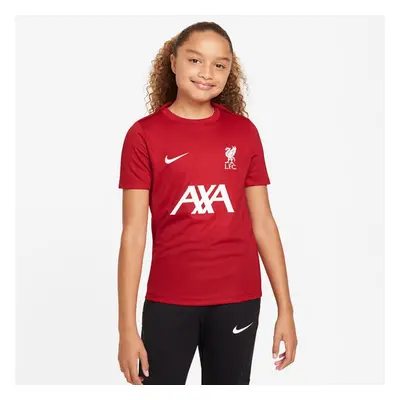 Nike Liverpool FC DF Academy Pro SS Top Jr Shirt FQ2753-688 97935716